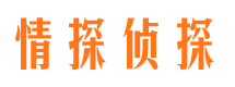 冕宁市调查取证